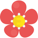 花札オンライン無料